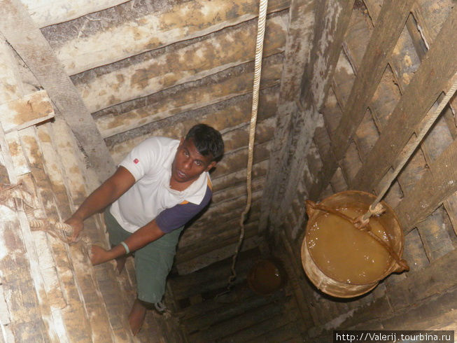 Спуск в шахту. Штрек, выложенный по принципу сруба в колодце Бентота, Шри-Ланка