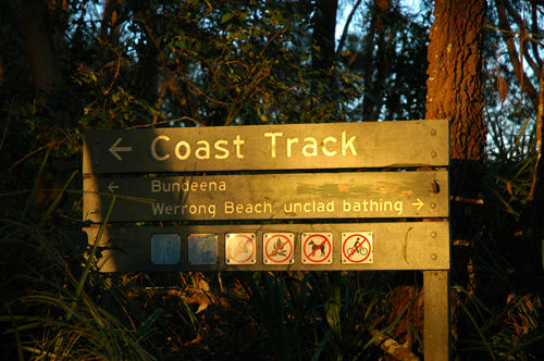 Парк Ройал из конца в конец за один день Роял Национальный Парк, Австралия
