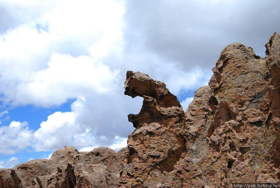 Каменный лес. Мишка косолапый Каменный лес. Мишка косолапый