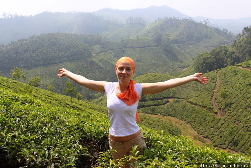 Анна Кособуцкая в чайных плантациях Муннара Муннар, Индия