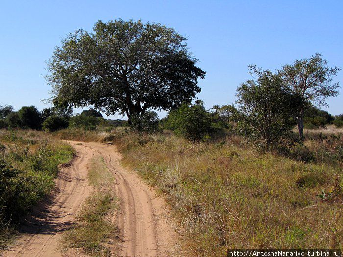 Самора-Машеловск Провинция Мапуту, Мозамбик Самора-Машеловск Провинция Мапуту, Мозамбик