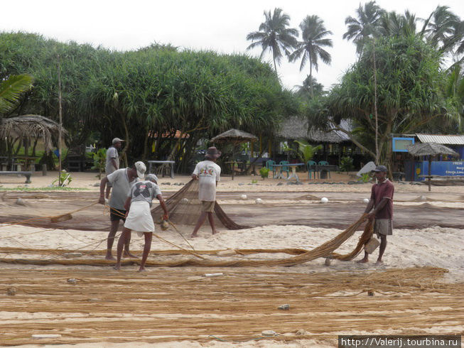 Sri Lanka (7) Ловля рыбы, или кто не успел, тот опоздал! Бентота, Шри-Ланка
