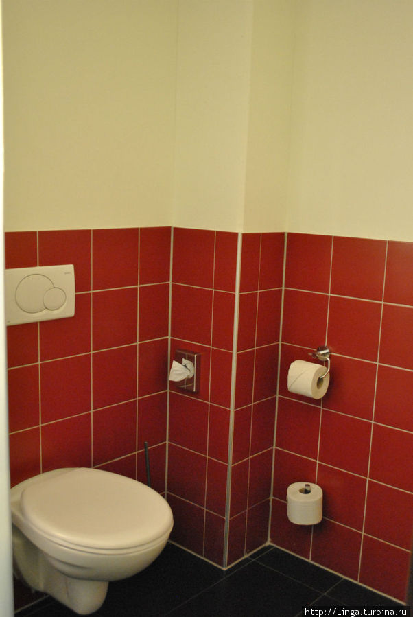 Туалет отдельный, но находится за полупрозрачным матовым стеклом. Зальцбург, Австрия