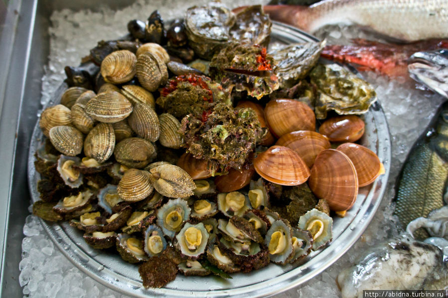 Выбор морепродуктов в ресторане на набережной