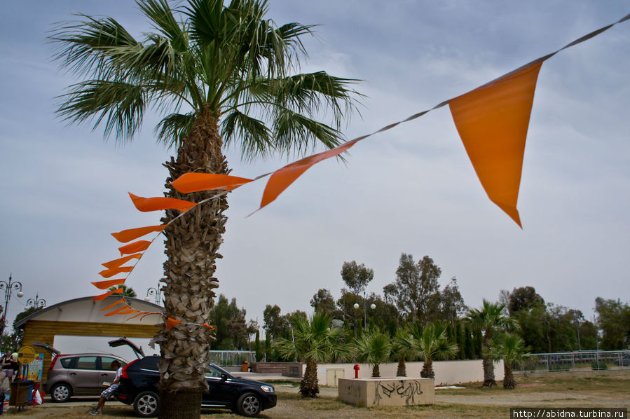 День рождения голландской королевы… на Кипре! Ларнака, Кипр