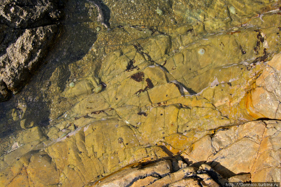 В скалах попадаются вот такие чистые заводи с морской водой, где находят себе временное прибежище ракушки Ллорет-де-Мар, Испания
