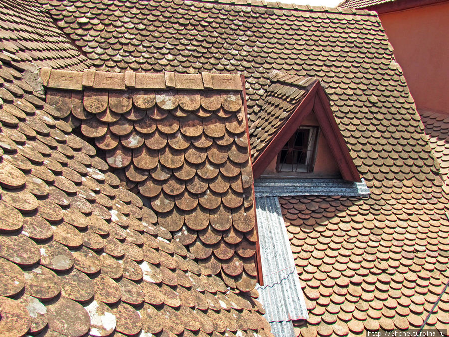 Как Вы понимаете, это фото не с соседней крыши, я просто иду по улице Антананариву, Мадагаскар