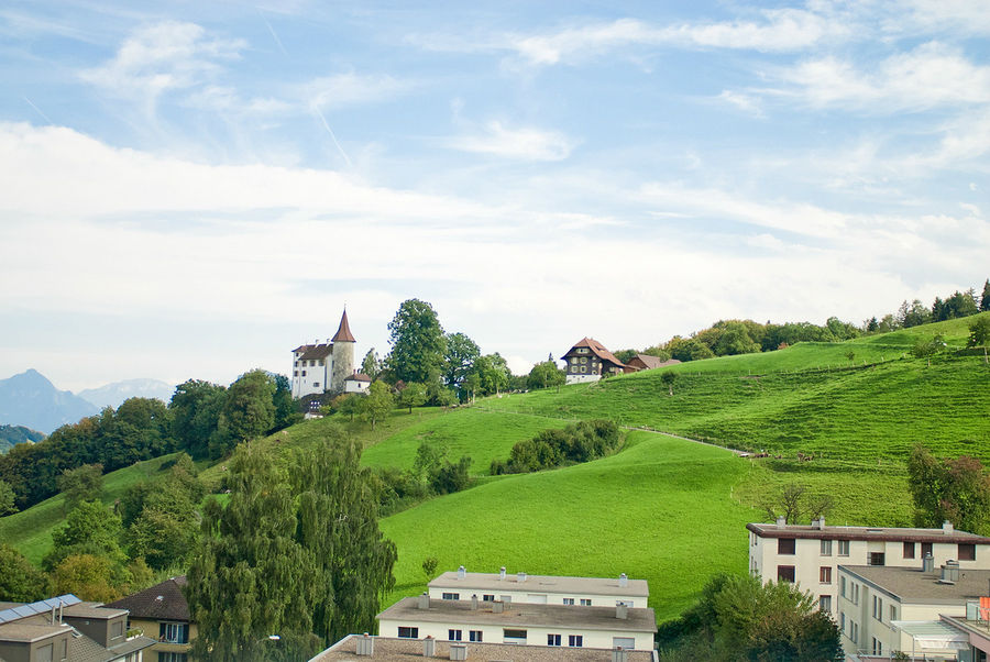 Швейцария — самая аккуратная в мире страна. По лужайкам вместо газонокосилок ходят специальные швейцарские коровы, украшенные колокольчиками и цветами, и ровняют каждую травинку. Кантон Люцерн, Швейцария