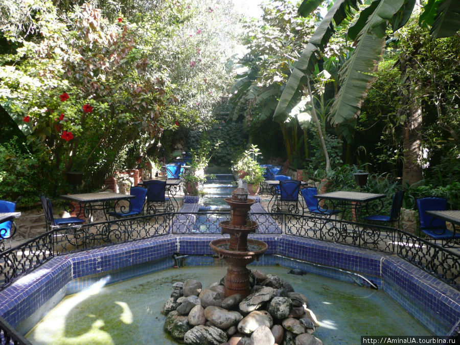в саду отеля Тарудан, Марокко