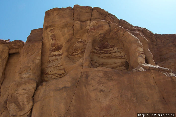 Лик каньона Цветной Каньон (Синай), Египет