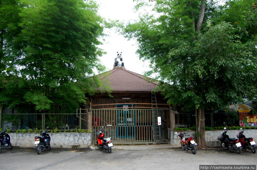 Зоопарк Чианг Мая. Звери Чиангмай, Таиланд