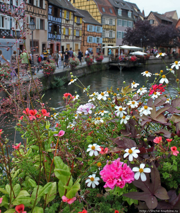Утопающий в цветах... Кольмар, Франция
