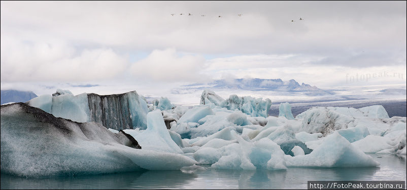 Черный цвет некоторых айсбергов это прямое следствие извержения вулкана Гримсвотн, который последний раз давал о себе знать в мае 2011 года. Йёкюльсаурлоун ледниковая лагуна, Исландия