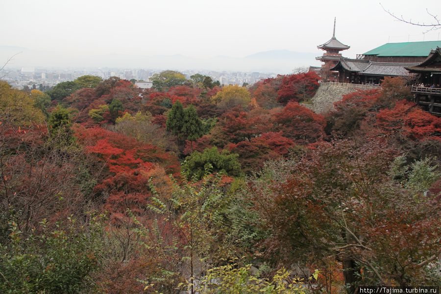 Осенний Киото Киото, Япония