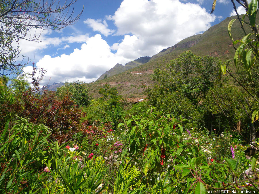 Ботанический сад Писак, Перу