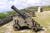 Пушки главного форта
