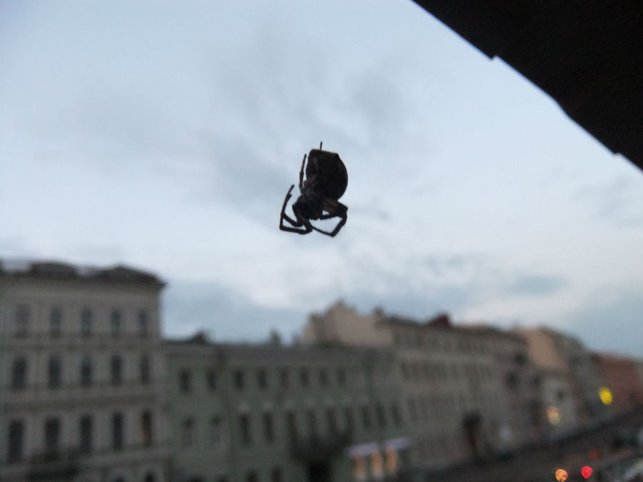 Clubbing. Ночной Питер. 0.00-3.00 a.m. Санкт-Петербург, Россия Clubbing. Ночной Питер. 0.00-3.00 a.m. Санкт-Петербург, Россия