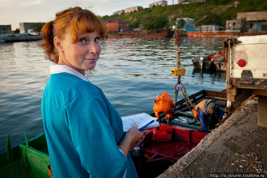 Путина на Сахалине: рыбозавод Корсаков, Россия