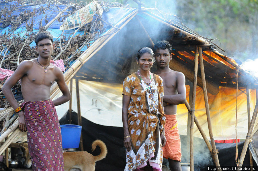 племена, живущие в лесу Кочи, Индия