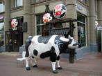 Корова у Му-Му на Арбате у м Смоленская.
 Фотографировала во время моего приезда в Москву в сентябре 2011 года
