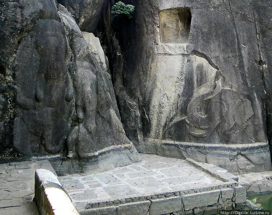 Над небольшим прудиком нависают скалы, на которых сохранились высеченные  в камне изображения слонов. А в отверстие выше посетители бросают монетки. Анурадхапура, Шри-Ланка