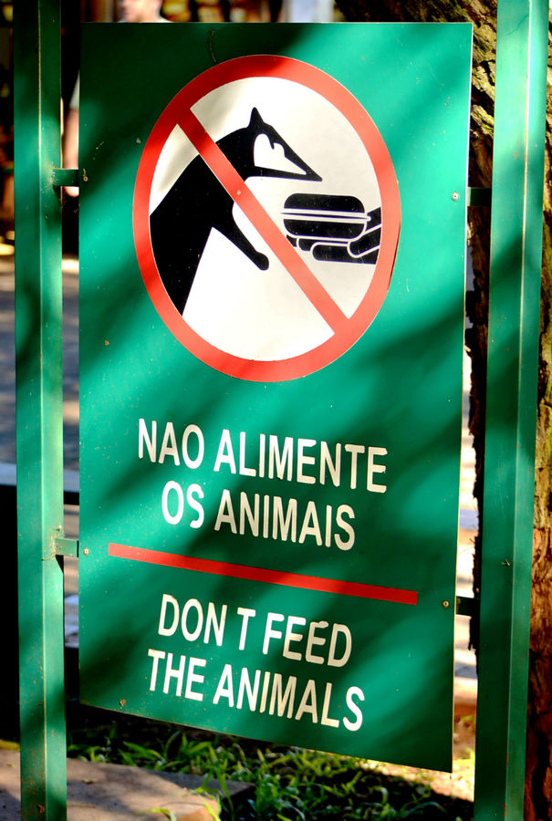 Надо сказать, администрация обоих парков — и бразильского и аргентинского — очень заботится о том, чтобы животных не подкармливали лишний раз (как будто они сами не подкормятся!;) — и всячески об этом сообщает! Вот только очень позабавила разница подходов.. Например, на бразильской стороне администрация просто предупреждает, что гамбургеры енотам не игрушка.. Игуасу национальный парк (Бразилия), Бразилия