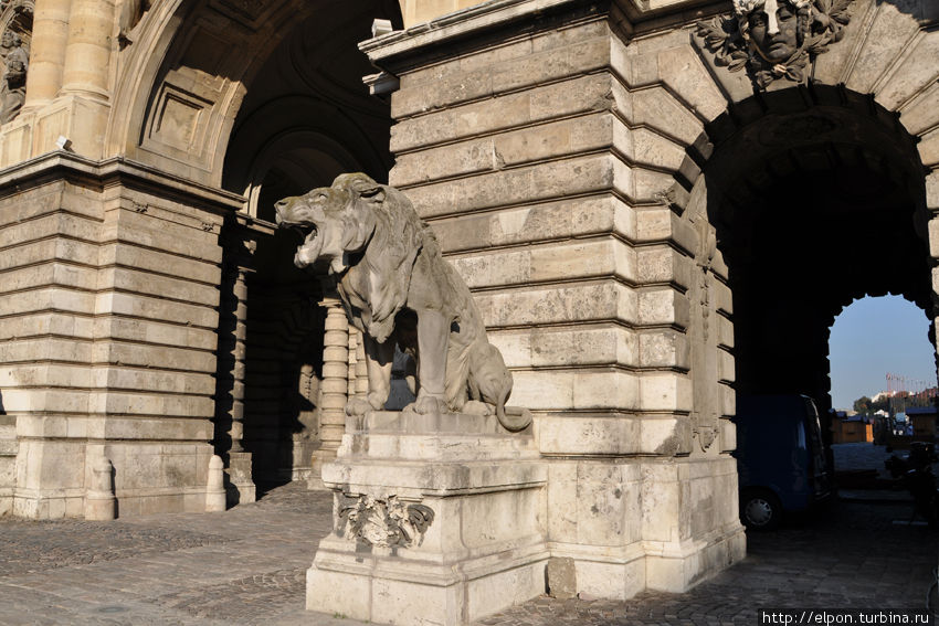 Лев у Львиных ворот в Королевском дворце Будапешт, Венгрия