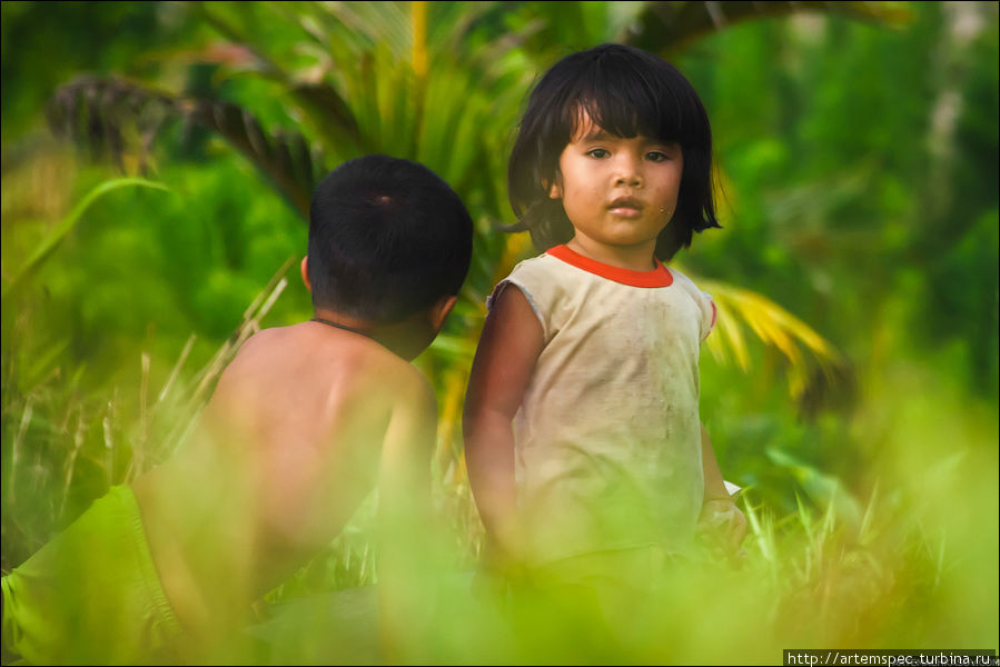 В зарослях гуляют детишки, предоставленные сами себе — родители отправились по делам. Суматра, Индонезия