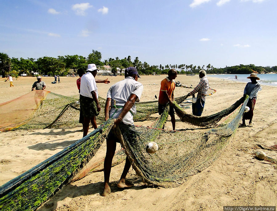 Вот и закончилась шри-ланкийская рыбалка. Осталось только расправить сети и просушить их. Тринкомали, Шри-Ланка