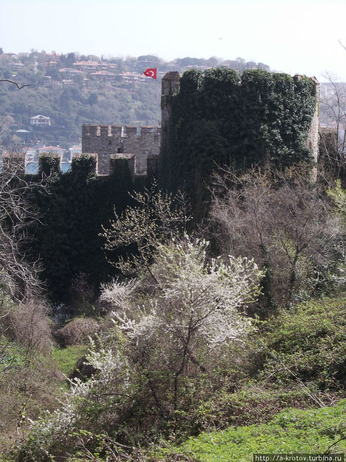 Вид крепости снаружи со стороны, противоположной Босфору. Там много растительности, не подступишься Стамбул, Турция