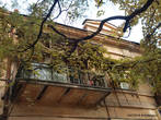 Впрочем, виноград настолько распространен в Одессе, что и многие балконы увиты им.
