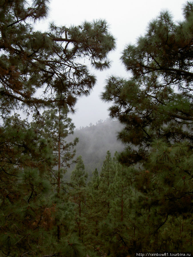 Тенерифе туристический Тенерифе туристический