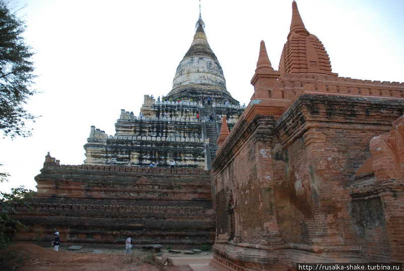 Пагода  Швесандо Баган, Мьянма