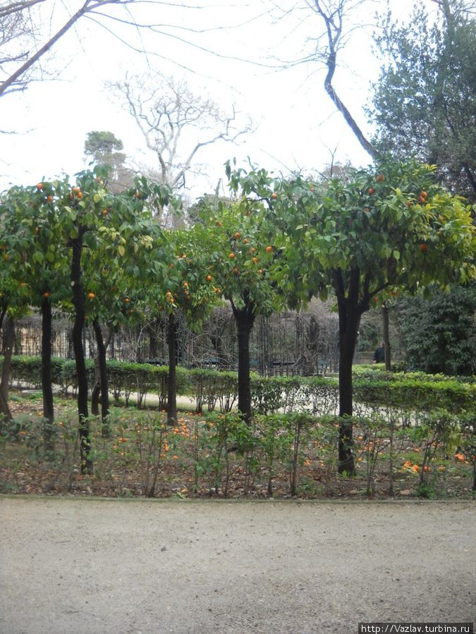 Заботливо высажены Заботливо высажены