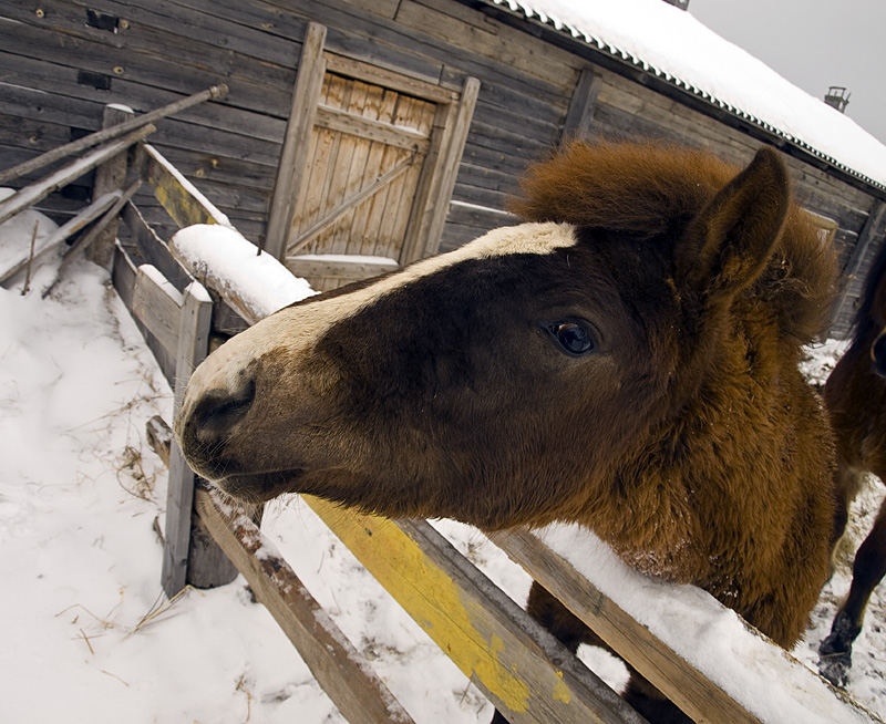 Да?.. Морщихинская, Россия Да?.. Морщихинская, Россия