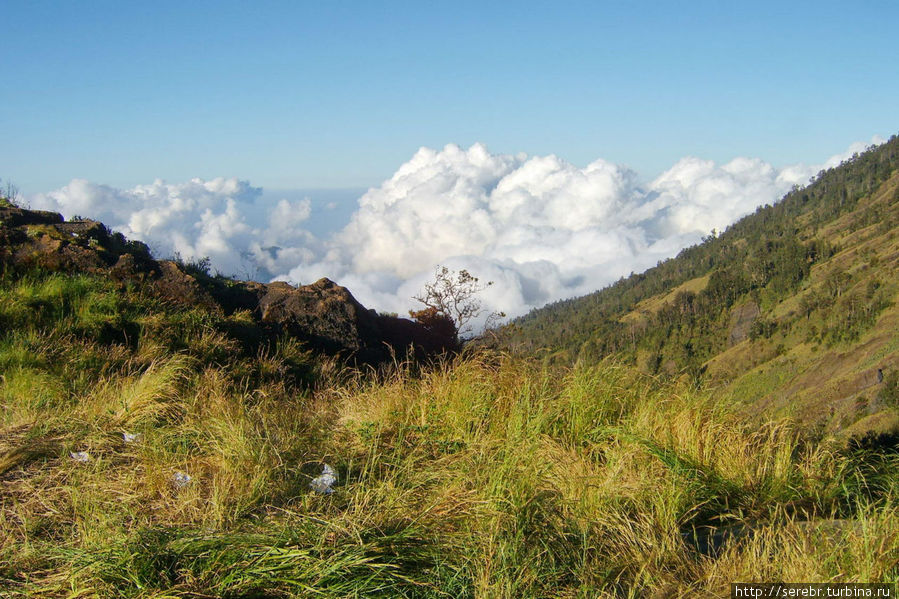 Треккинг в Индонезии: Ринджани Индонезия Треккинг в Индонезии: Ринджани Индонезия