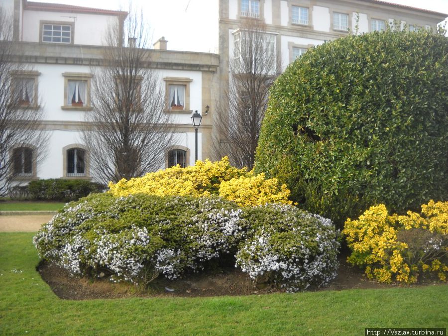 Весеннее цветение Ферроль, Испания