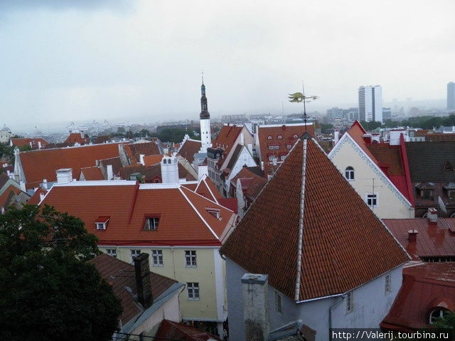 Крыши Старого Таллинна. Таллин, Эстония