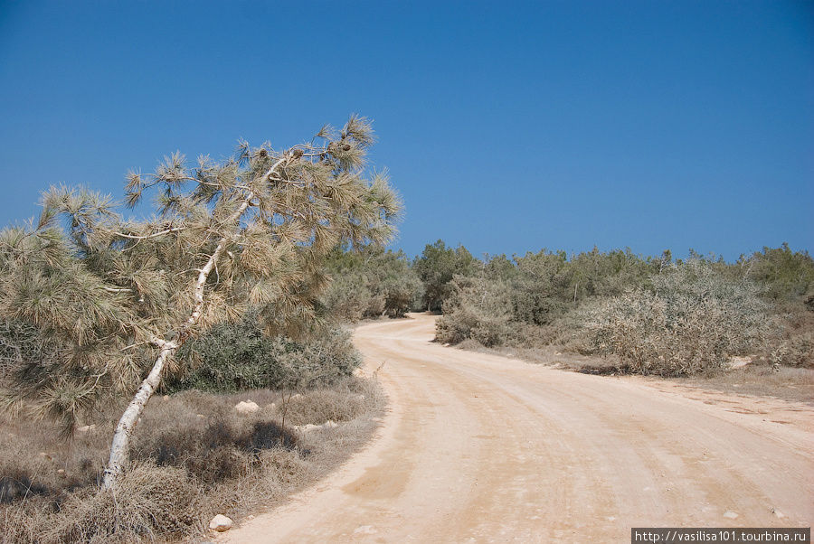 Дорога от автобусной оста Дорога от автобусной оста
