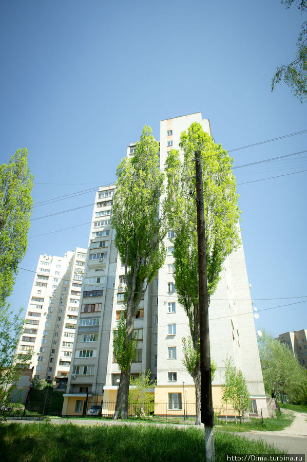 Деревья (кипарисы?) удачно скрашивают кирпичную высотку Киев, Украина