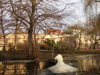 Вояновы сады. Ледяной лебедь плачет... В Прагу пришла весна!