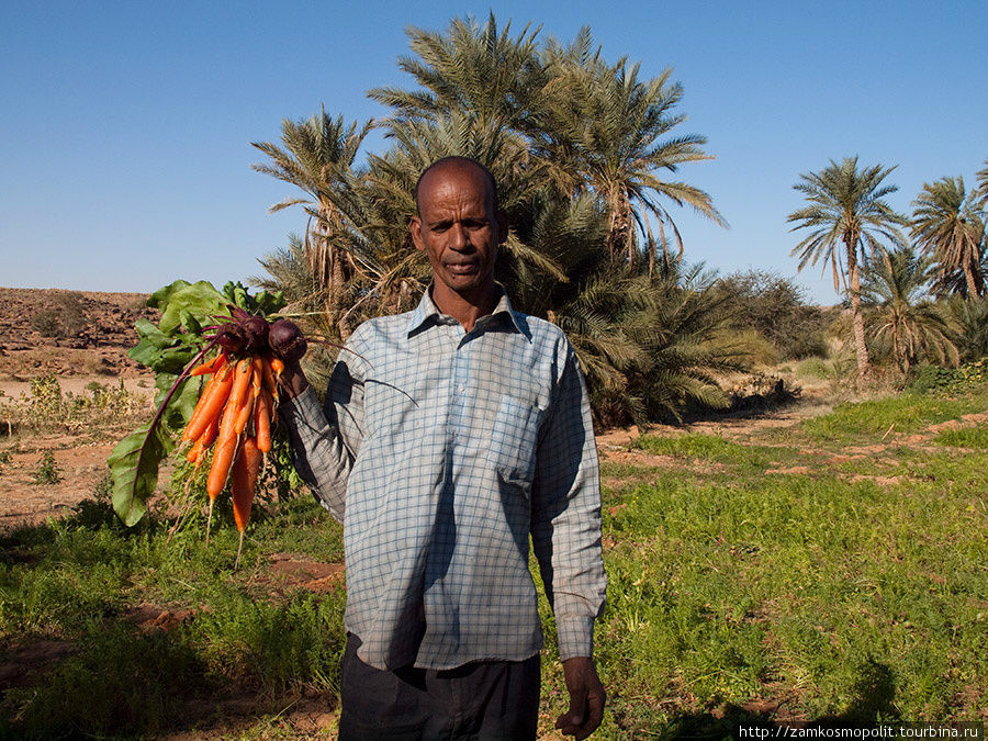 Несмотря на пустыню, небольших полей вдоль русла пересыхающей реки в Уадане вполне хватает не только для нужд местного населения, но и для продажи излишков сельхозпродукции. Мавритания