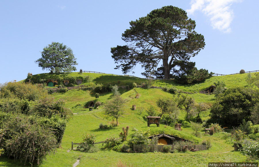 5. Хоббитонский холм. Слева. под небольшим дубовым деревом, живёт знаменитый Бильбо Бэггинс. Матамата, Новая Зеландия