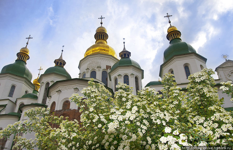 Зеленый город Киев Киев, Украина