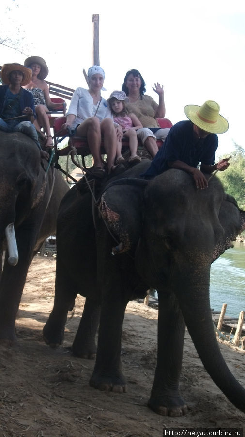 Страна слонов. Тайланд Паттайя, Таиланд