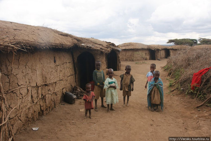 Дети масаев Кения