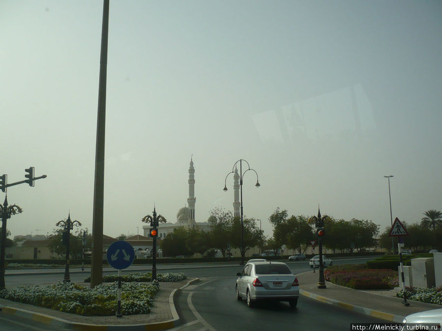 Аль-Айн из окна автобуса Аль-Айн (Аль-Хили), ОАЭ