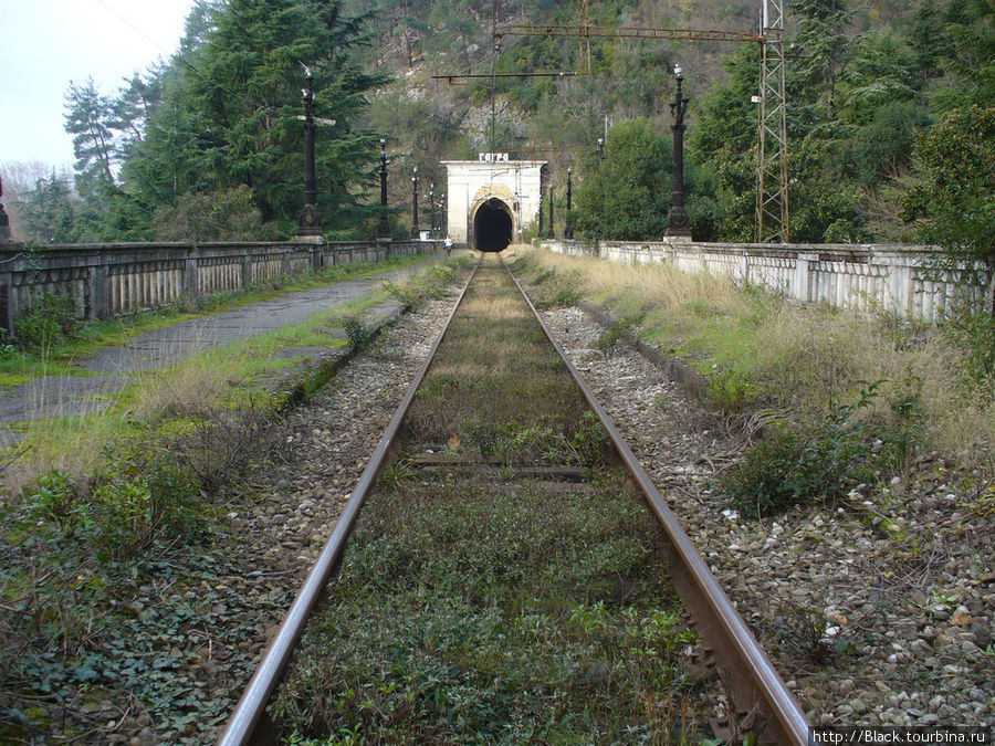 Железная дорога заросла травой Гагра, Абхазия