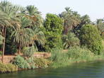 Пейзажи на Ниле