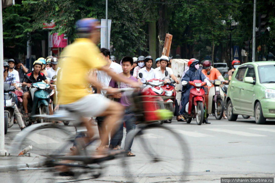 Вымирающий вид - велосипедисты Ханой, Вьетнам